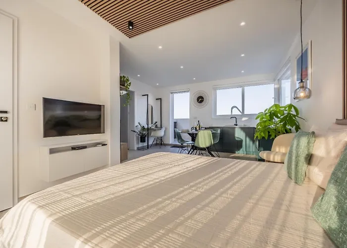 Penthouse In With Private Pool & Large Terraces Lägenhet